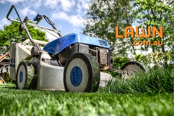 Lawn.com.au