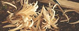 Inside the Artisan World of Woodworking