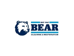 https://getbearclean.com/ website