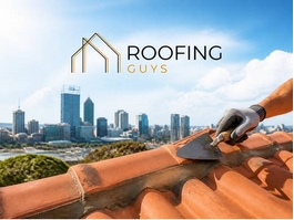 https://roofingguysperth.com.au/residential/roof-repointing-perth/ website