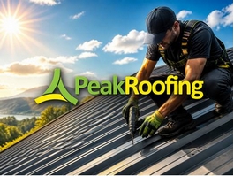 https://peakroofs.co.uk/flat-roof-repairs-nottinghamshire/ website