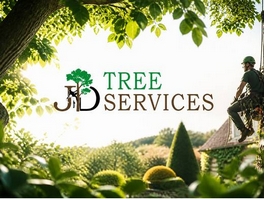 https://www.tree-surgeons-wrexham.co.uk/ website