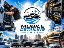 https://mobiledetailingguys.com.au/ website