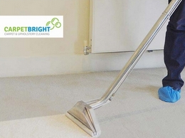 https://www.carpetbright.uk.com/carpet-cleaning/surrey/ website