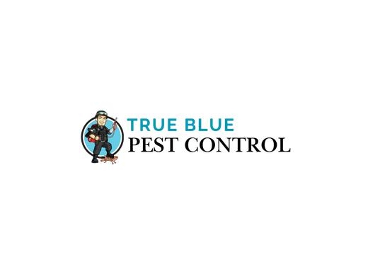 https://truebluepestcontrol.com.au/ website