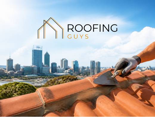 https://roofingguysperth.com.au/residential/roof-repointing-perth/ website