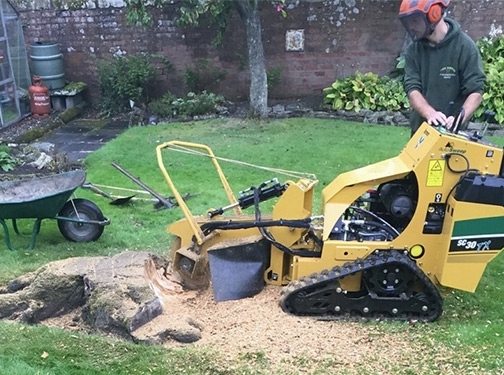 https://www.stockport-tree-surgeon.co.uk website