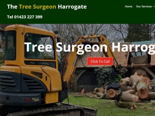 https://thetreesurgeonharrogate.co.uk/ website